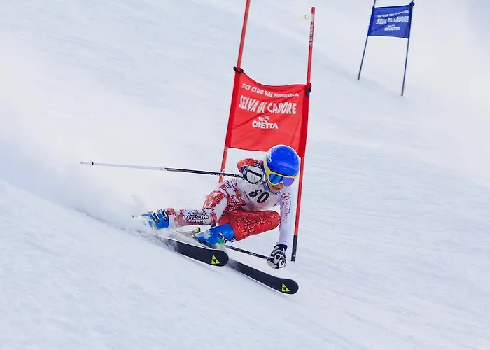 Hotel Hotel Corona 3*